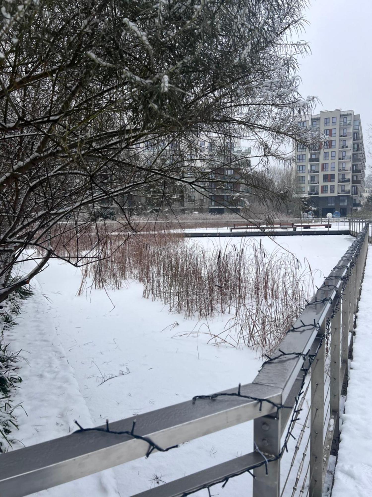 Апартаменти Lake Park Apartament With Free Parking Airport Netflix Варшава Екстер'єр фото