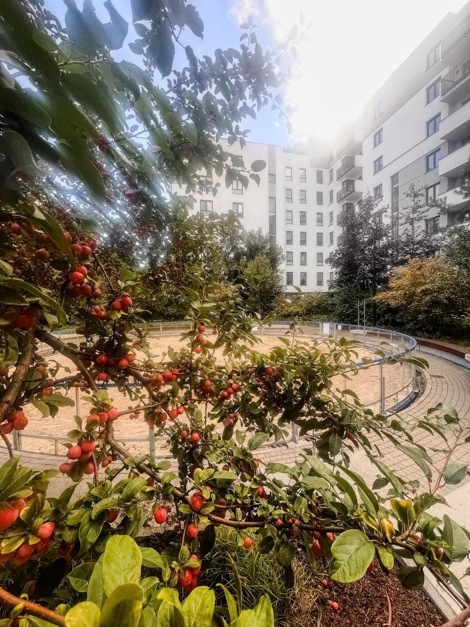 Апартаменти Lake Park Apartament With Free Parking Airport Netflix Варшава Екстер'єр фото